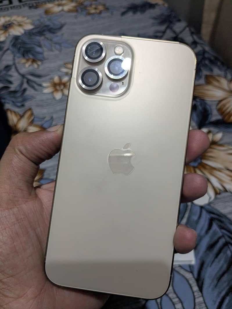 Apple iPhone 12 Pro Max 1