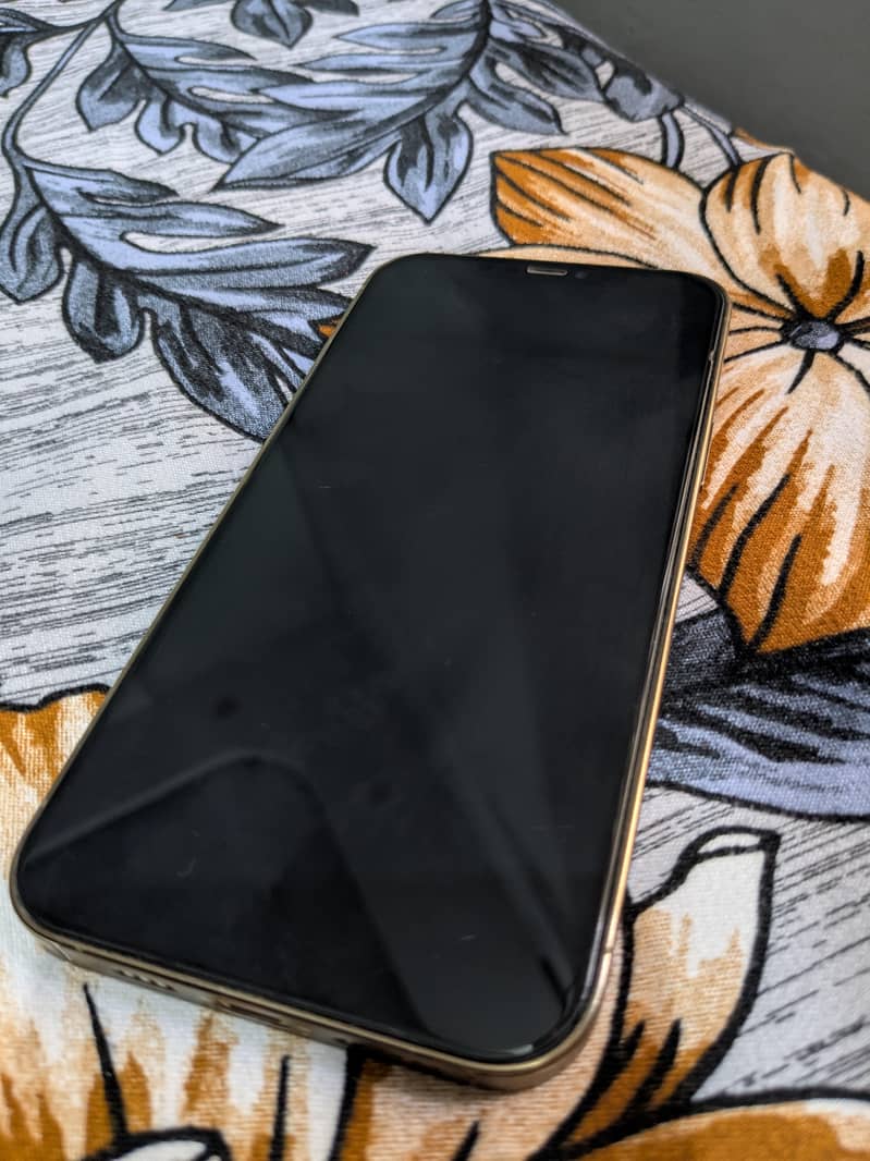 Apple iPhone 12 Pro Max 2