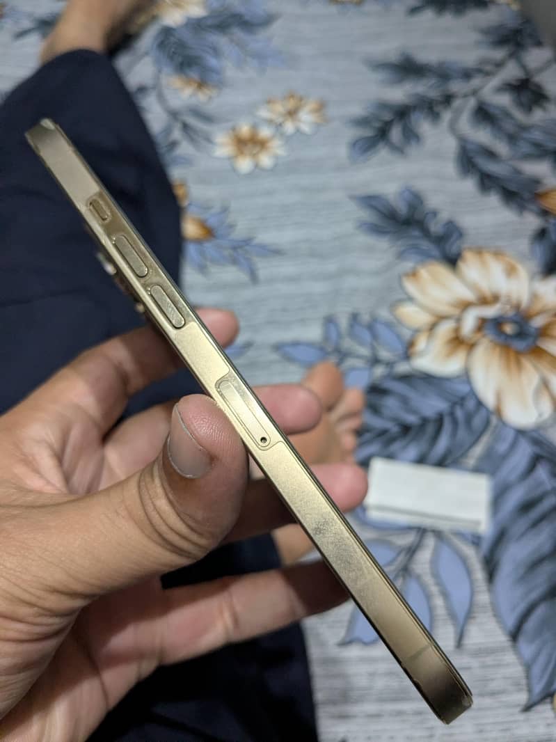 Apple iPhone 12 Pro Max 4