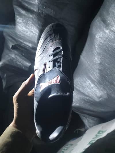 BRAND NEW FOOTBALL SHOES (STUDS) FOR SALE