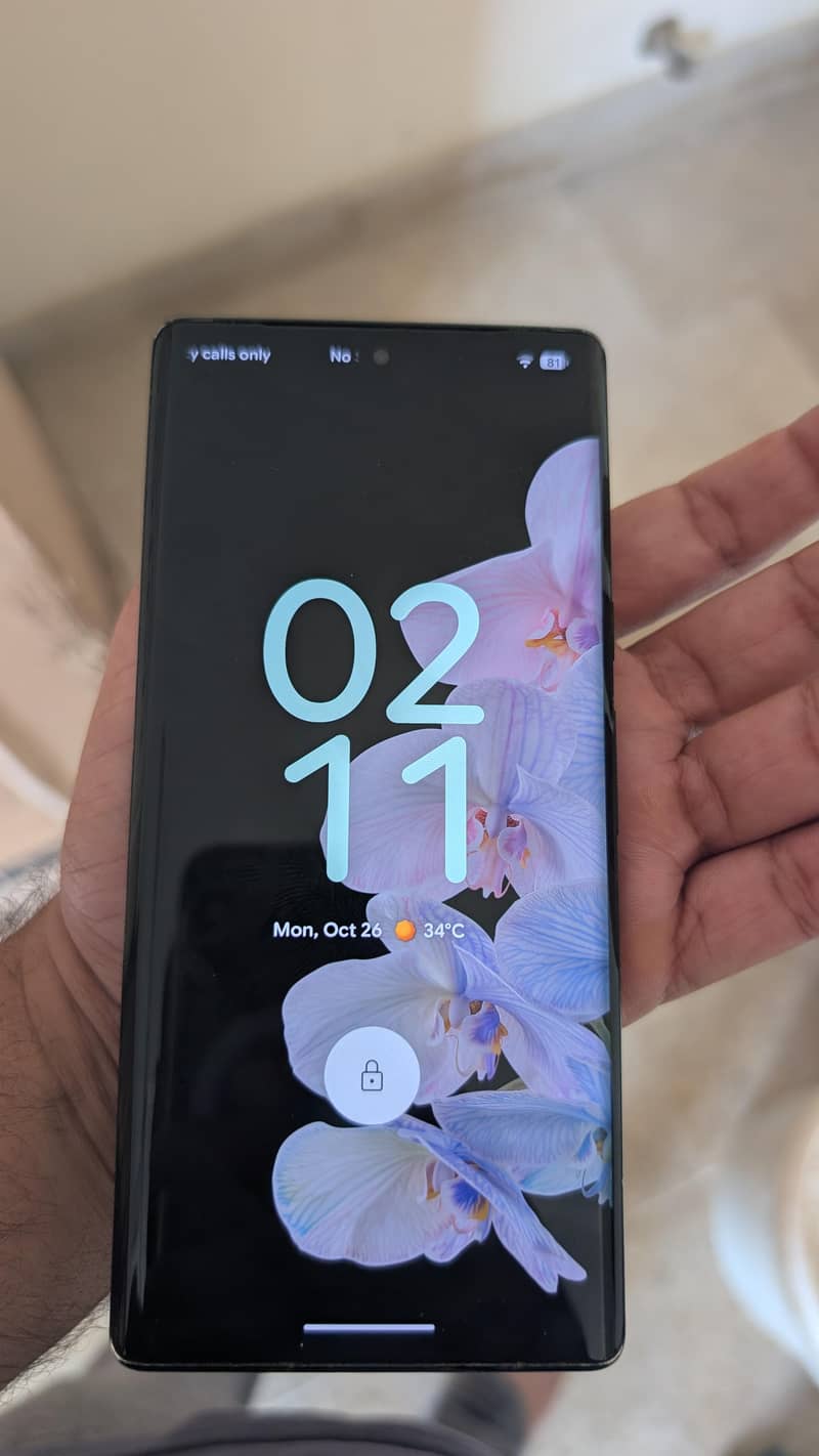 Google Pixel 6 Pro 5