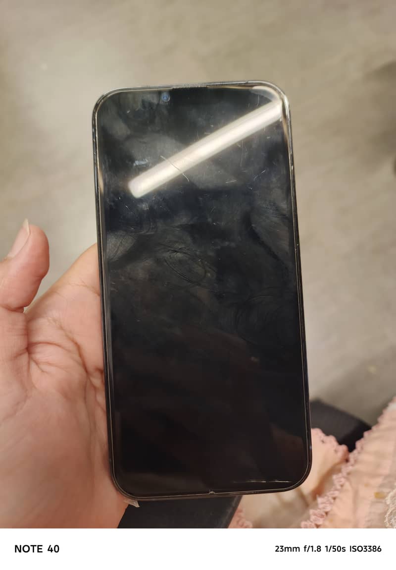 Apple iPhone 13 Pro Max 1