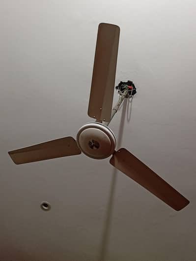 amber fan for sale in good condition