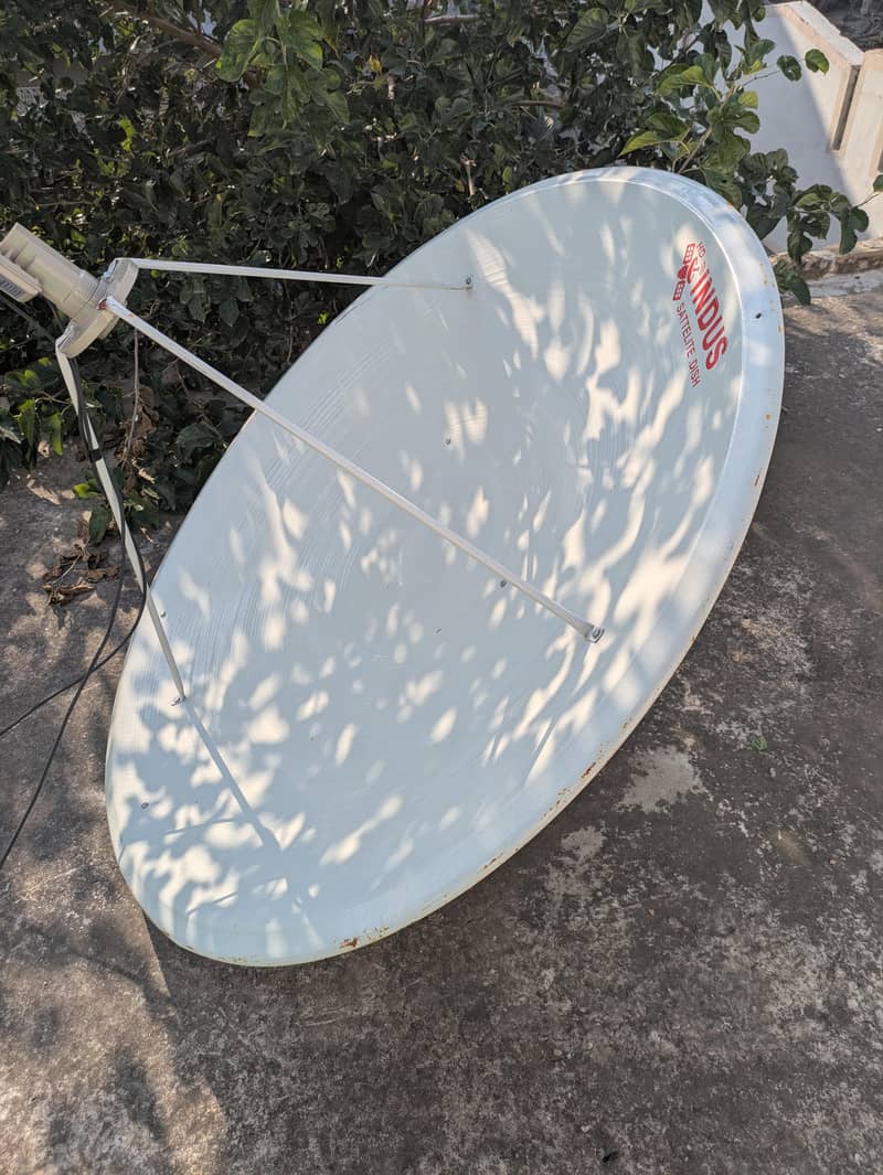 Dish for sail 0