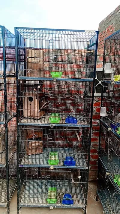 Birds cage for sale