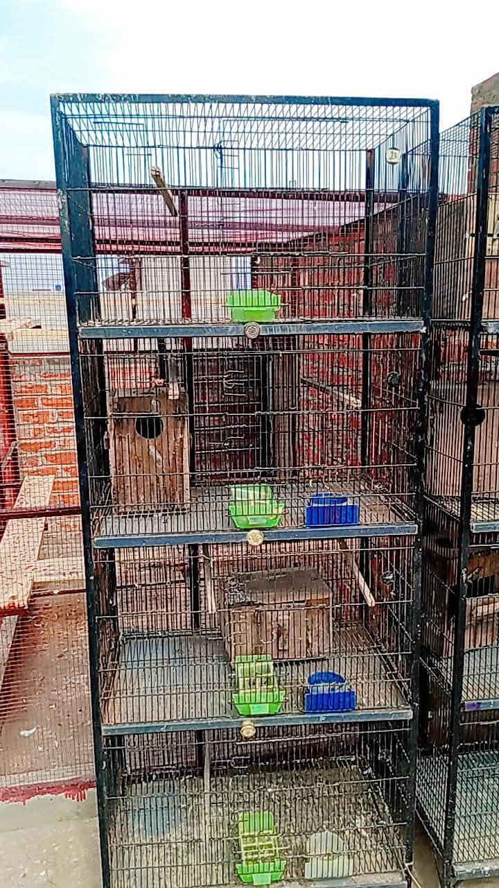 Birds cage for sale - Other Birds - 1120893868
