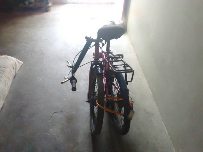 folding baycaycle 8