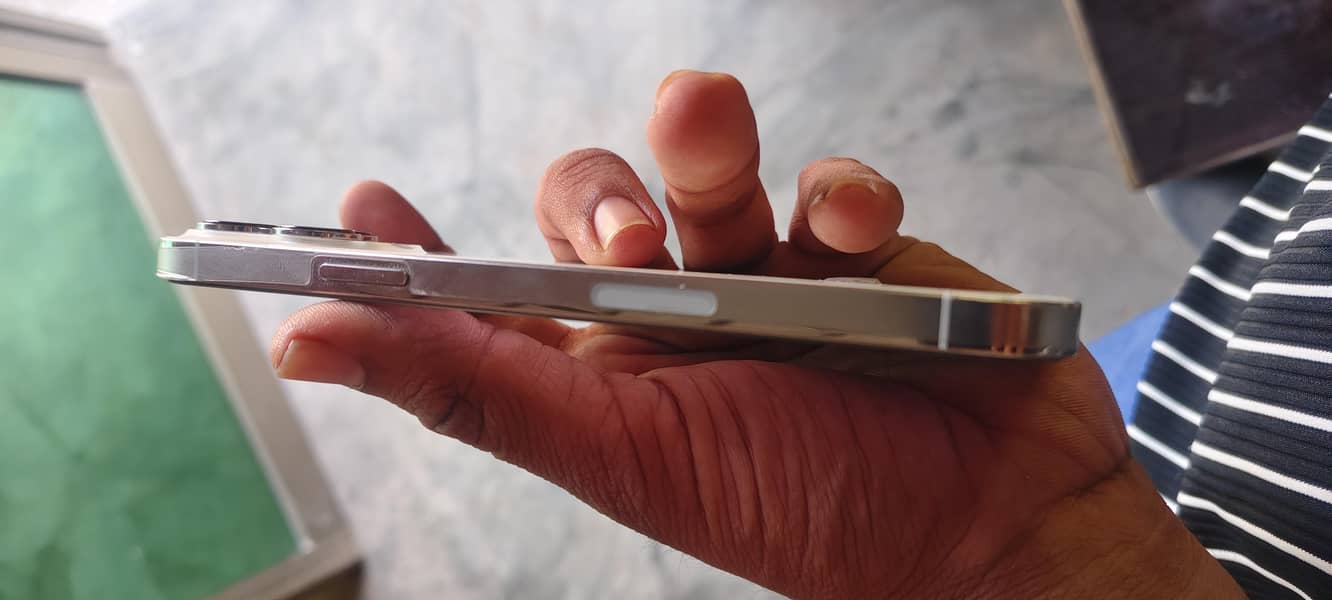 Apple iPhone 13 Pro Max 1