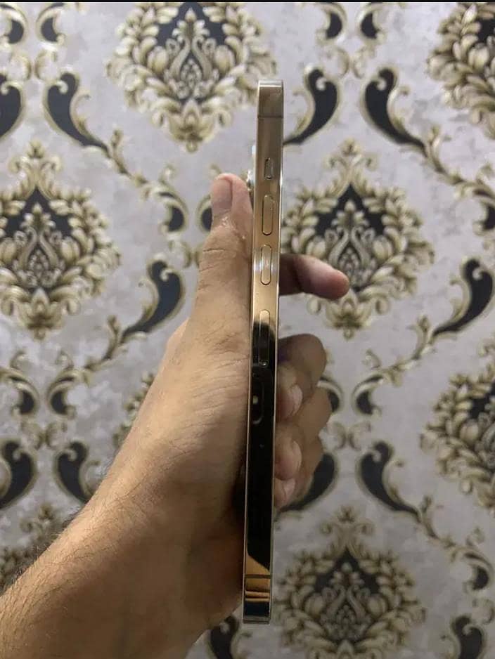 Apple iPhone 13 Pro Max 3