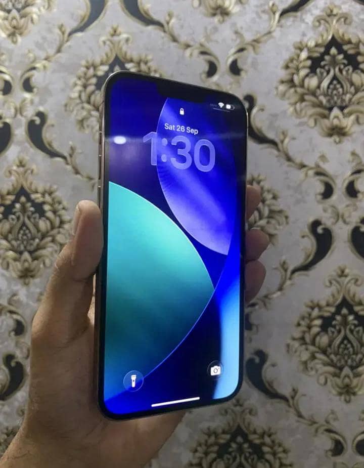 Apple iPhone 13 Pro Max 4