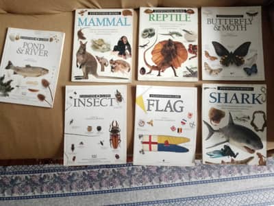 7 Learning Books Set (Imported)