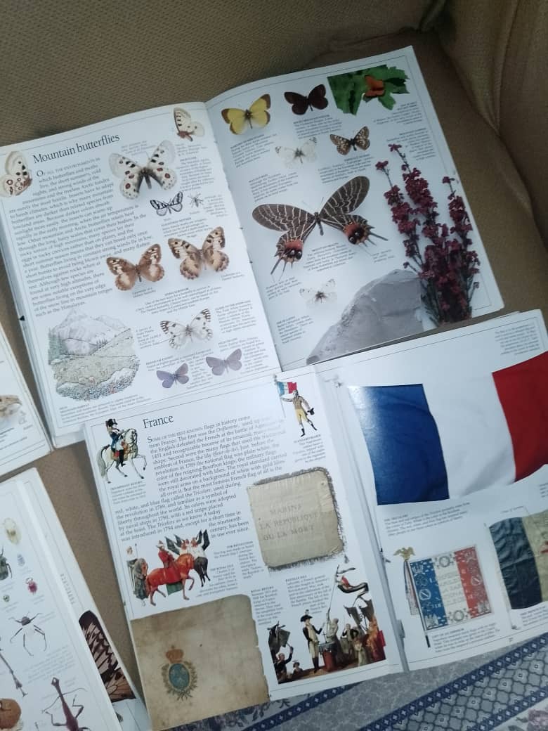 7 Learning Books Set (Imported) 1