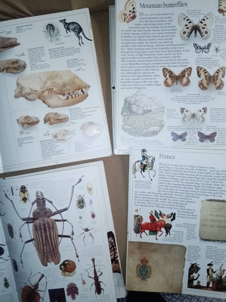 7 Learning Books Set (Imported) 2