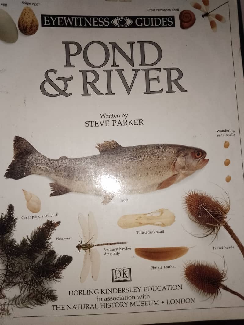 7 Learning Books Set (Imported) 3