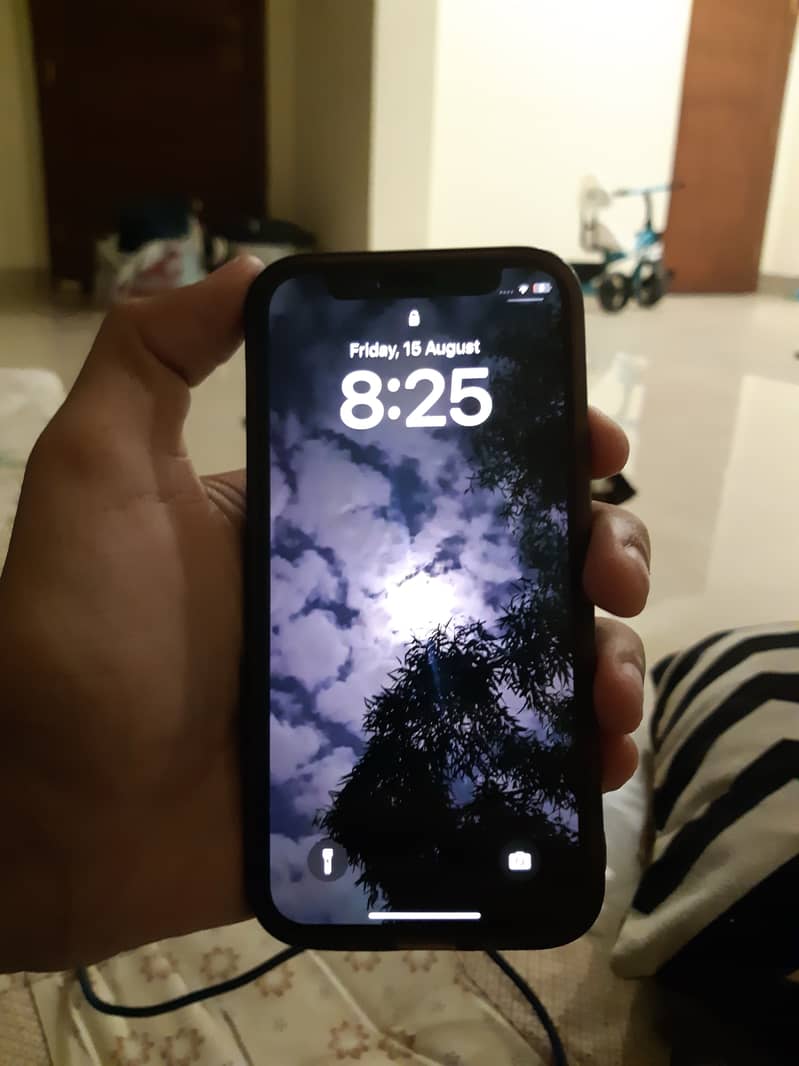 Apple iPhone 12 mini 1