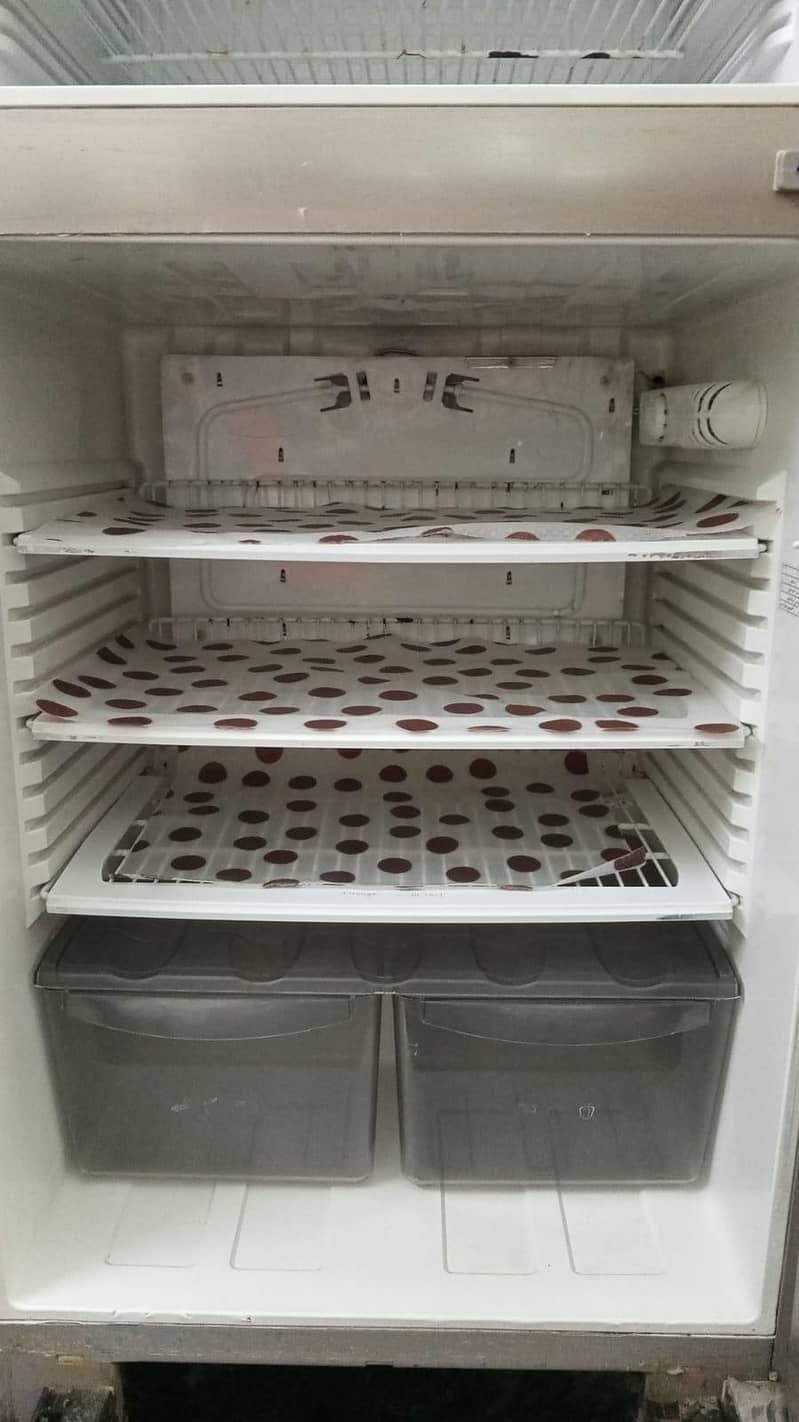 PEl refrigerator 2
