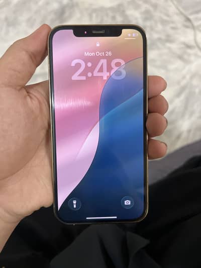 Apple iPhone 12 Pro