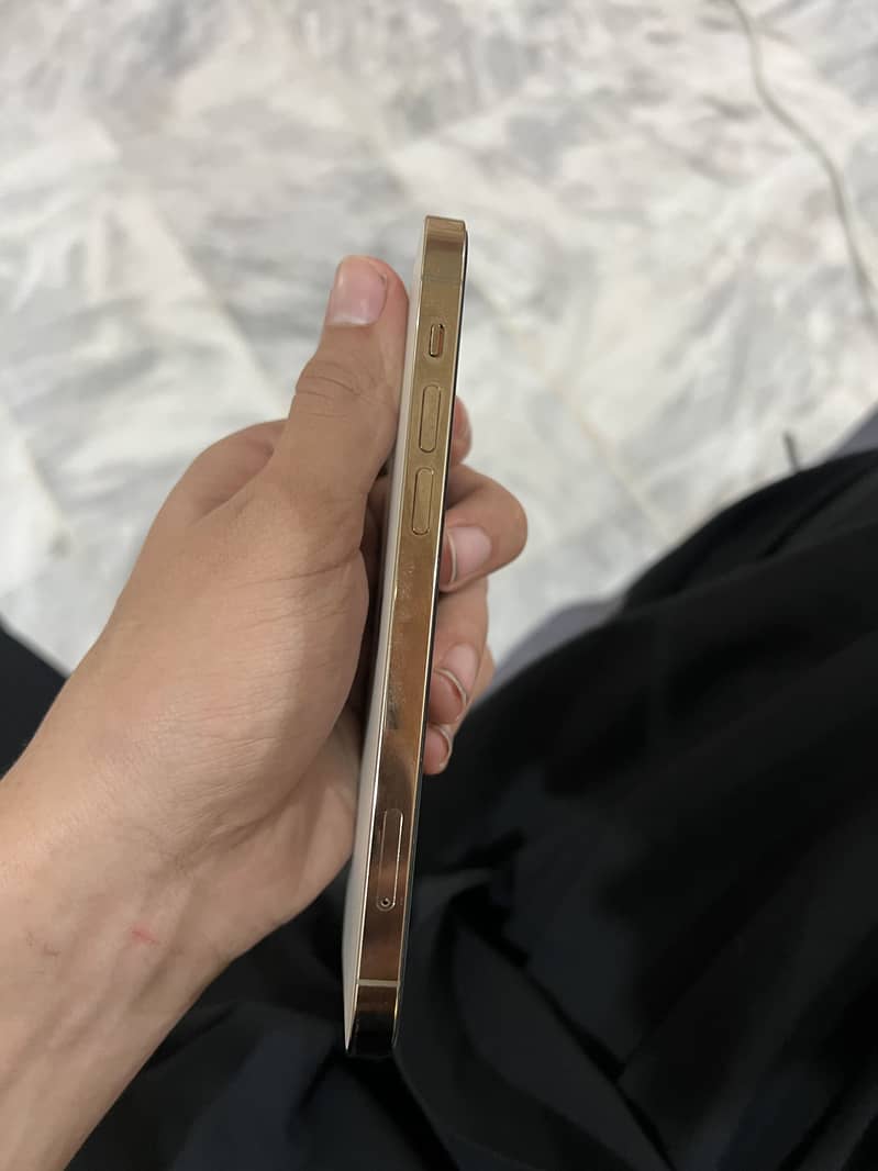 Apple iPhone 12 Pro 1