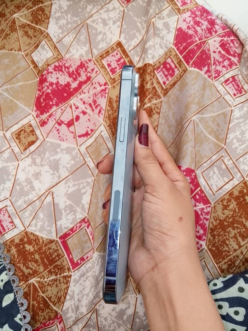 Apple iPhone 13 Pro Max 1