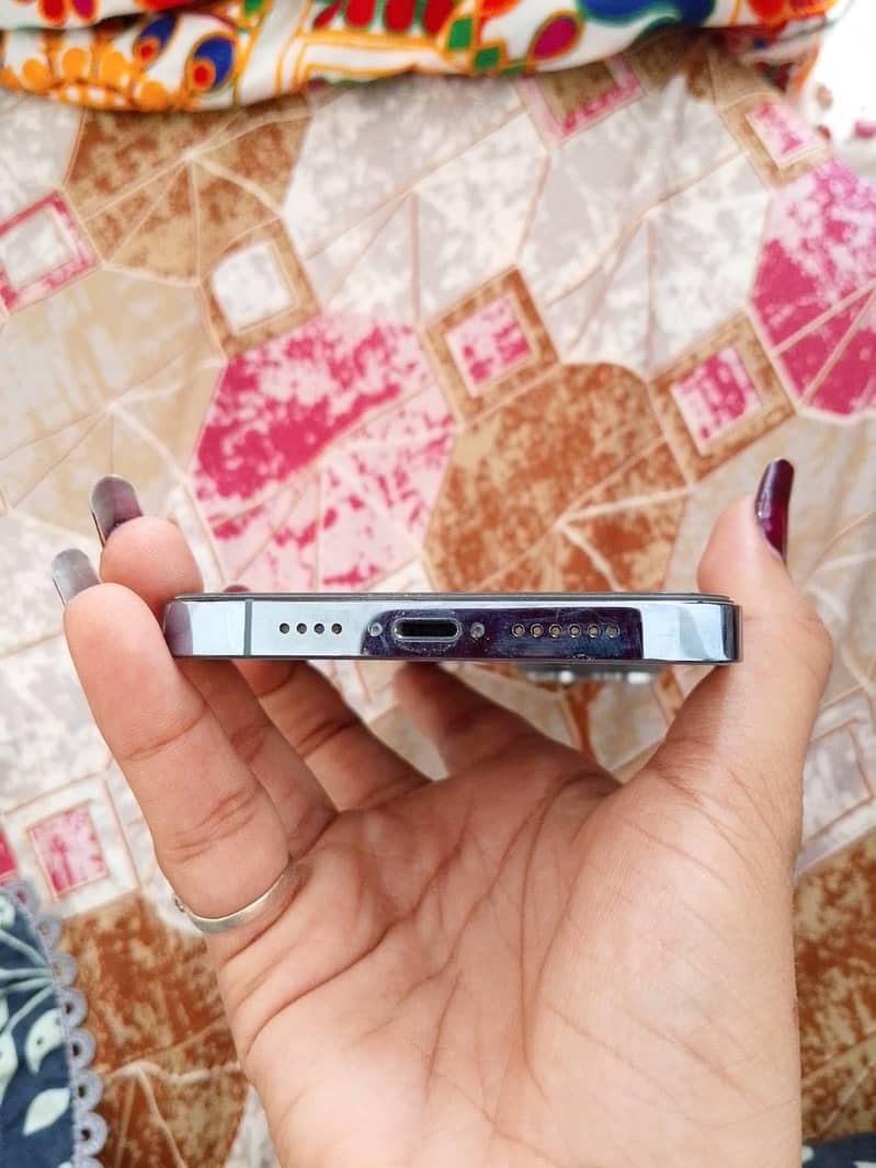Apple iPhone 13 Pro Max 2