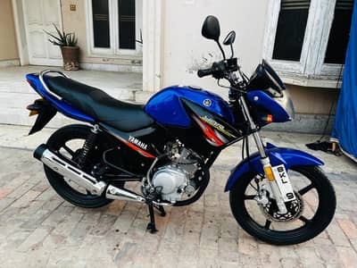 YBR 125 19