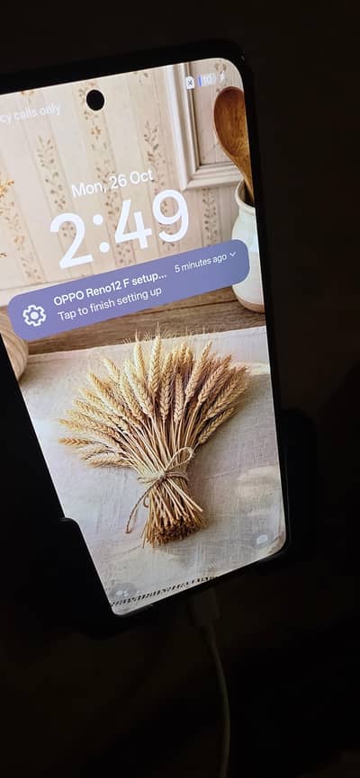 OPPO Reno 12 F Olive Green