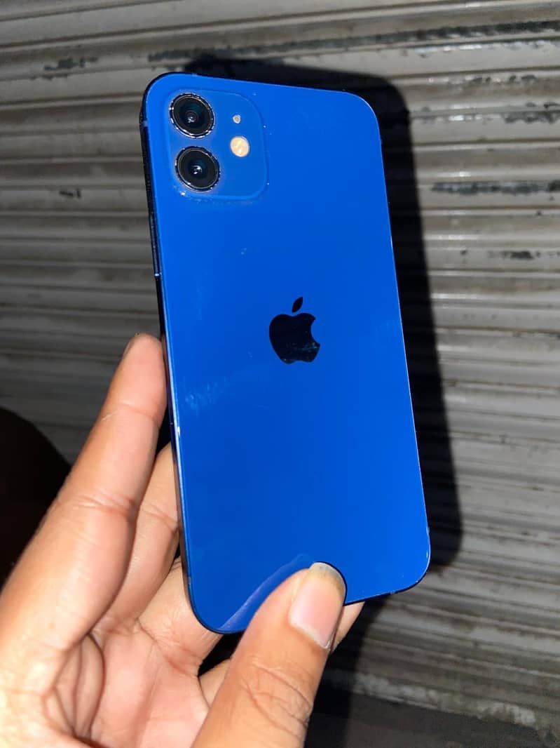 Apple iPhone 12 1