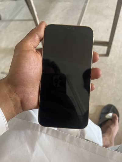 Apple iPhone 12 Pro Max