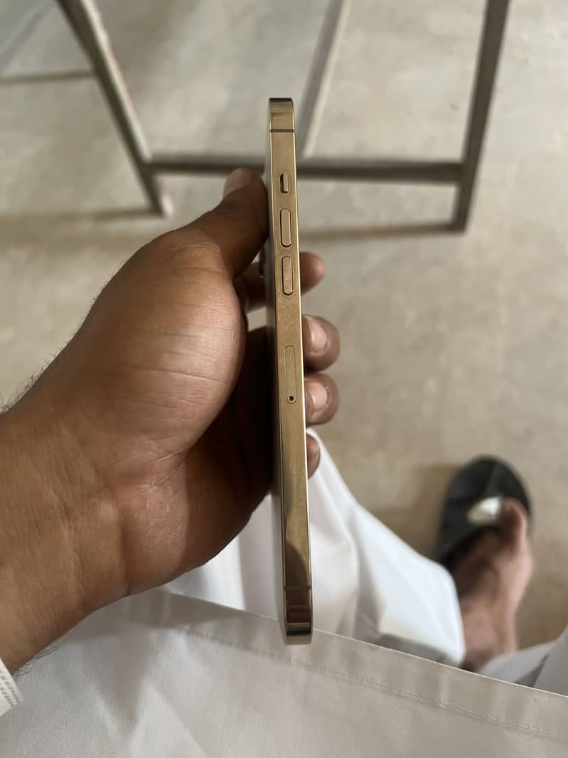 Apple iPhone 12 Pro Max 1