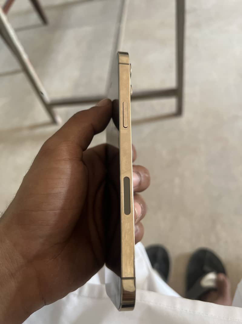 Apple iPhone 12 Pro Max 3