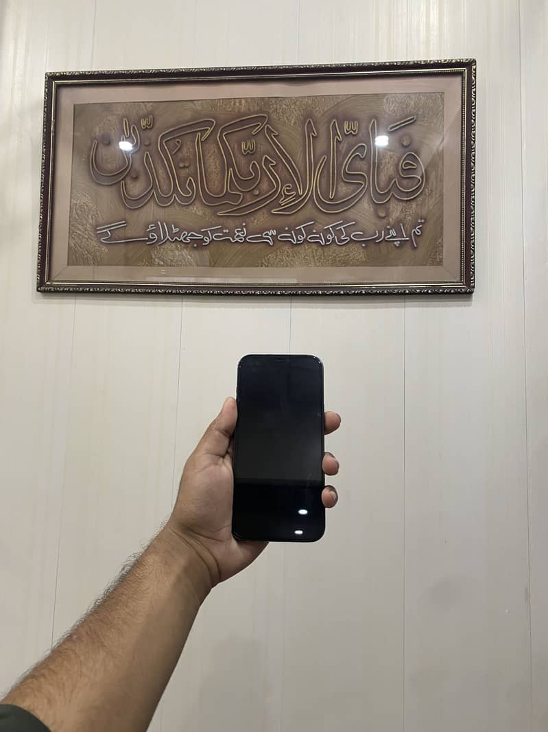 Apple iPhone 12 Pro Max 2