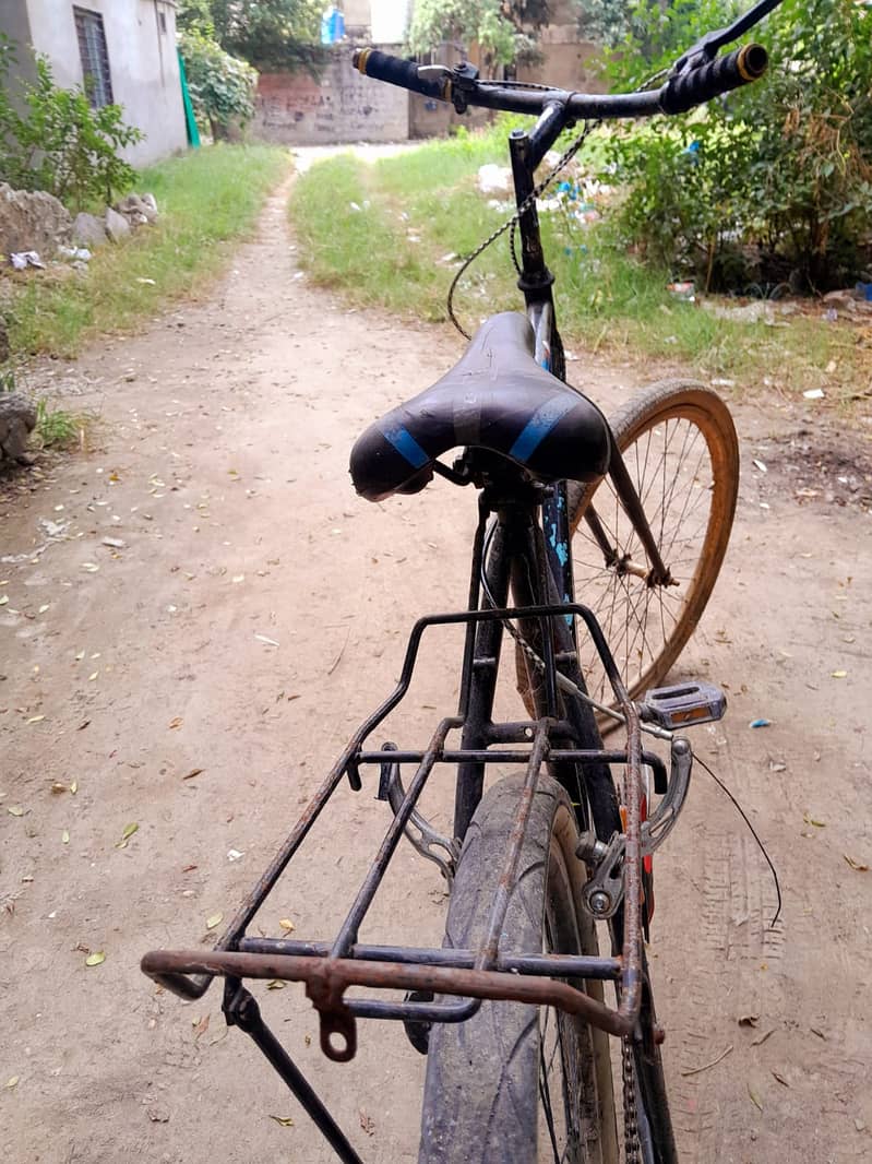 Phoenix cycle 3