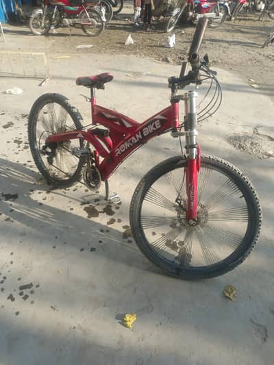 Roman Bike