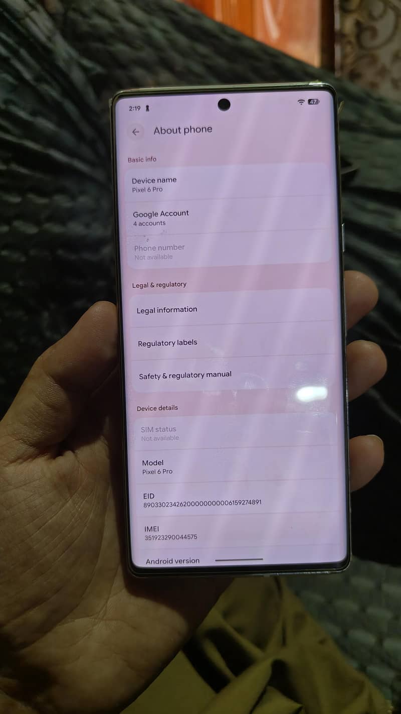 Google Pixel 6 Pro 1