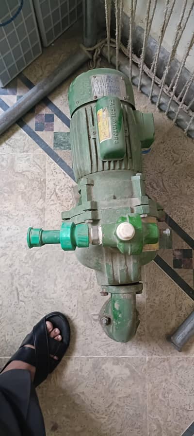 double impeller pump Faisal