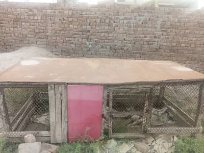 big size cag hai bhari jali hai aur wazan b kaafi hai. 03067614051
