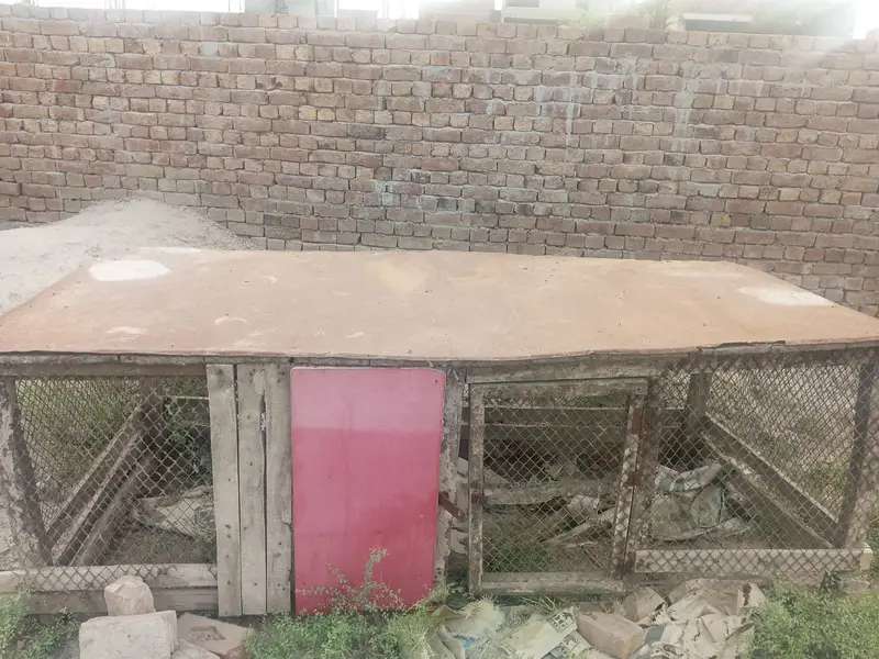 big size cag hai bhari jali hai aur wazan b kaafi hai. 03067614051