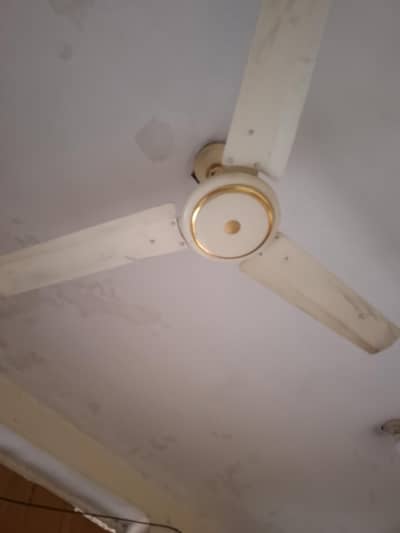 celling fan 4no