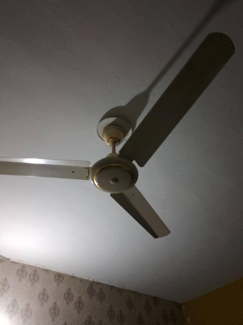 celling fan 4no - Ceiling Fans - 1120896224
