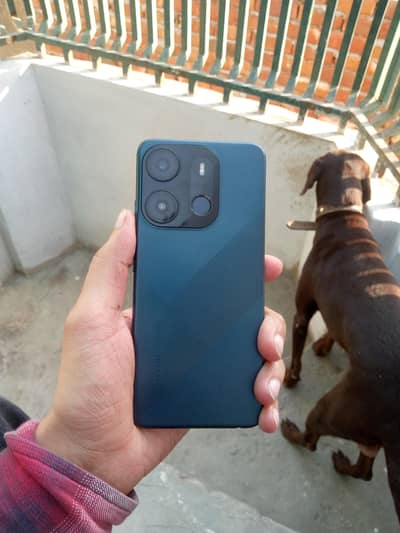 Tecno Spark go