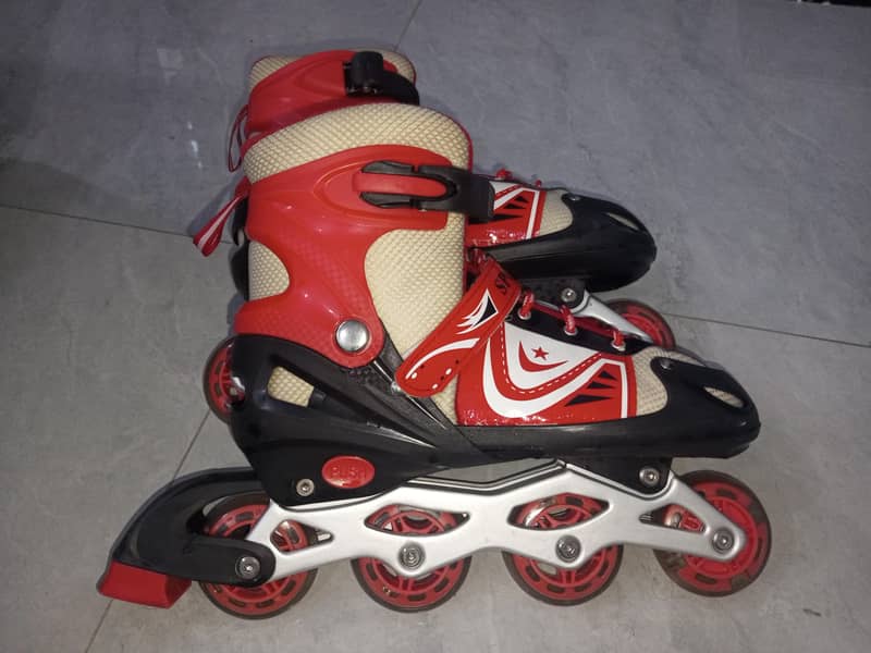 skating shoes 2
