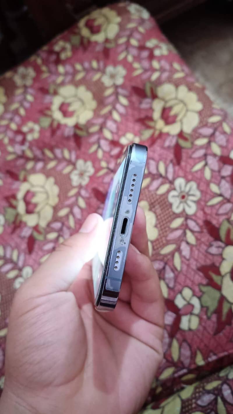 Apple iPhone 13 Pro Max 0