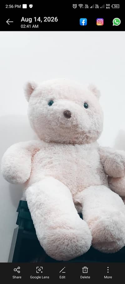 Teddy Bears huge