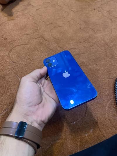 Apple iPhone 12 jv for sale