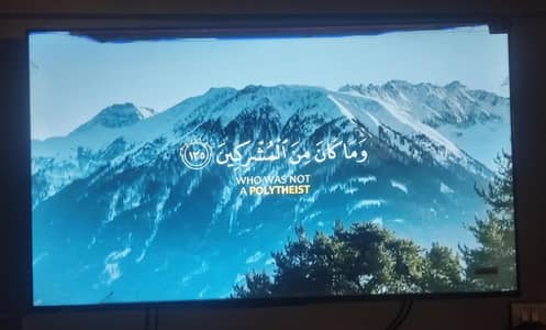 TCL 50" 4K HDR Google TV | Just Minor Panel Issue