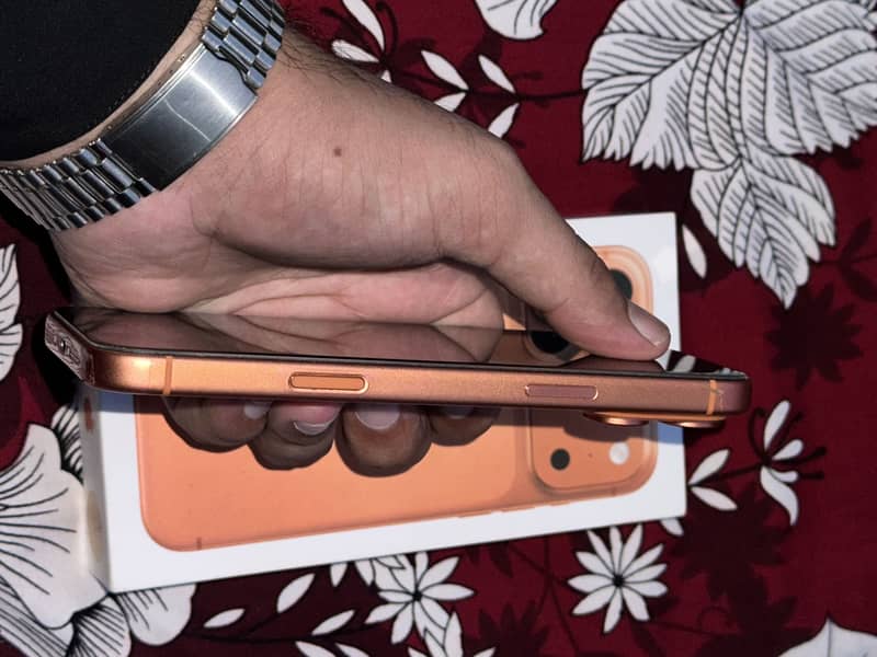 Apple iPhone 17 Pro Max 3
