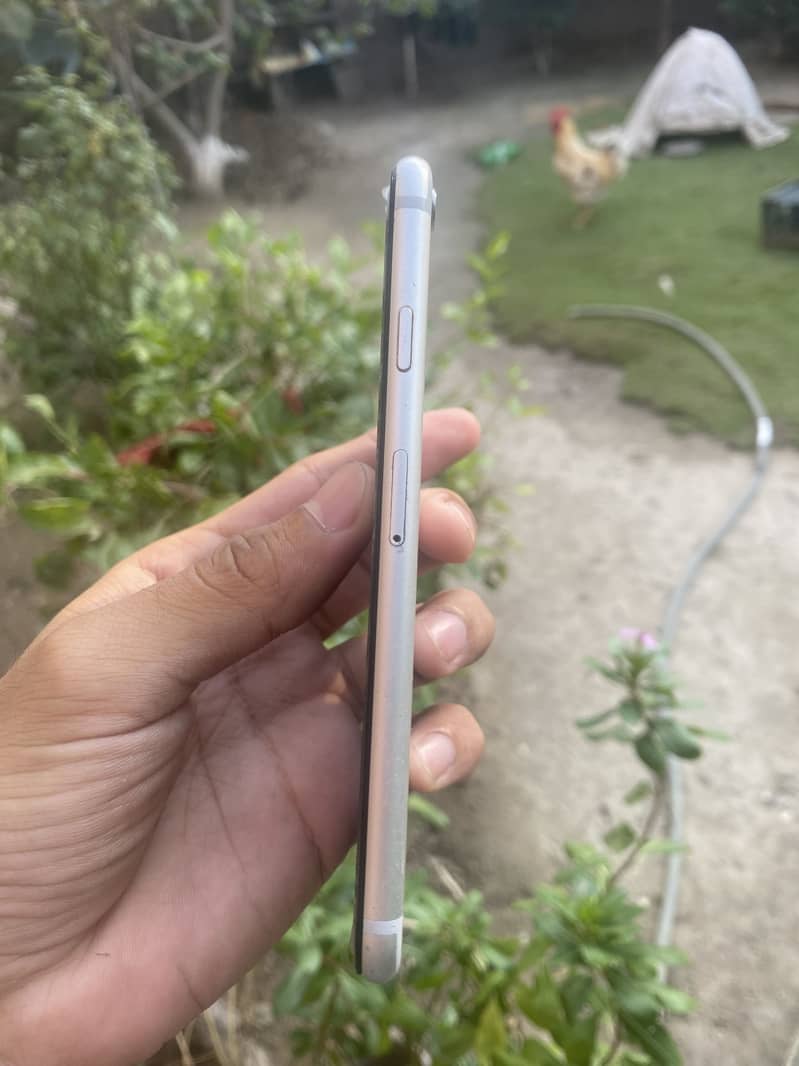 Apple iPhone 6S 1