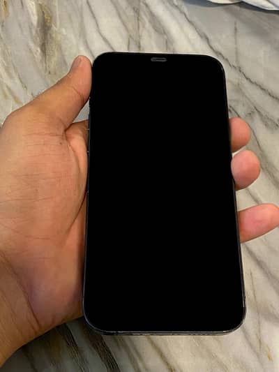 Apple iPhone 12 Pro Max