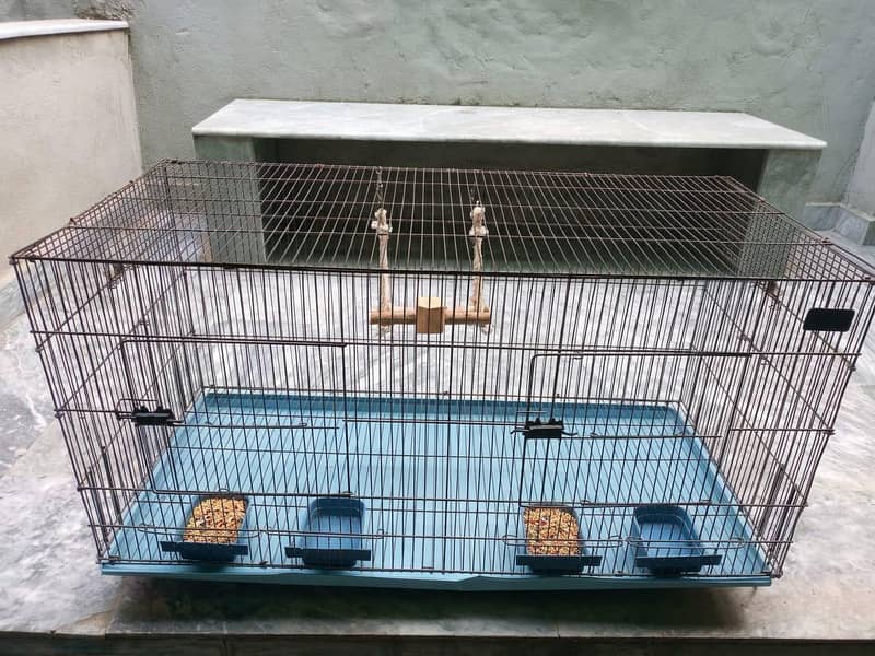 cages of budgies and lovebirds - Hen Cages - 1120897405