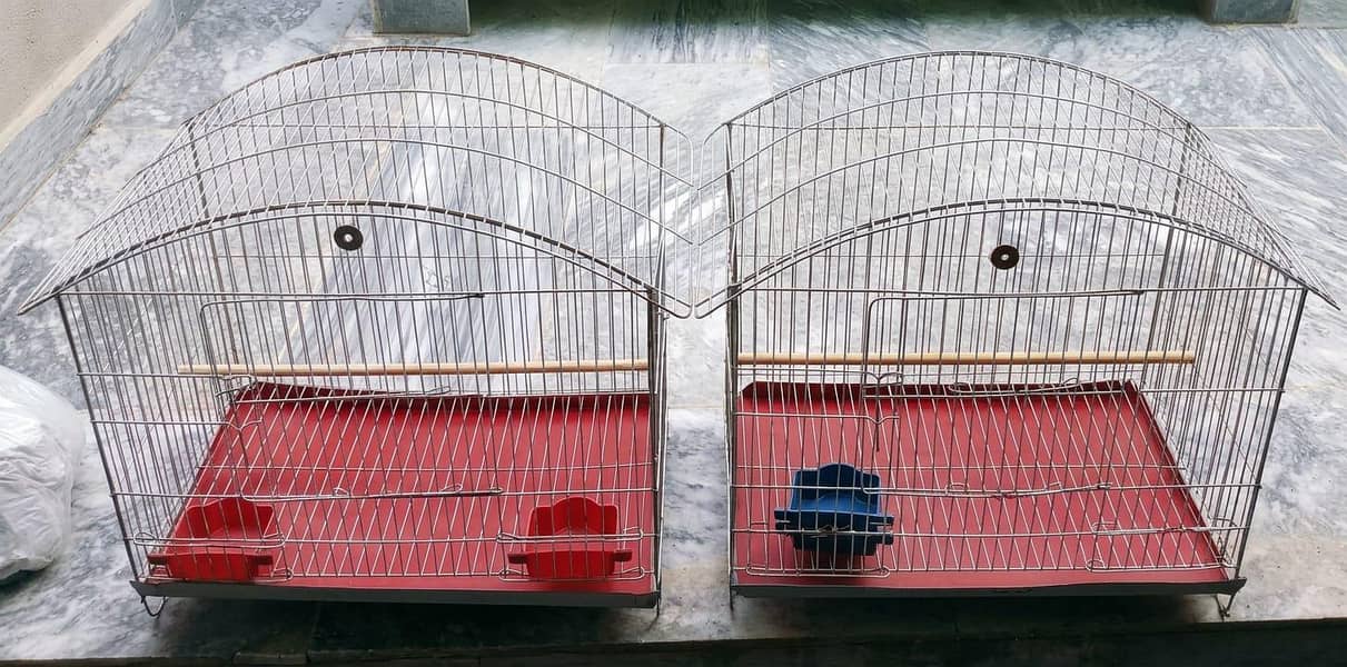 cages of budgies and lovebirds - Hen Cages - 1120897405